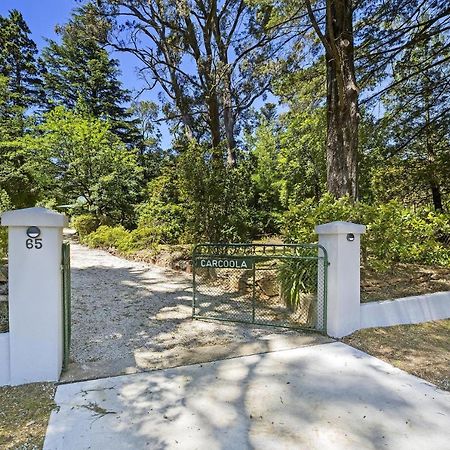 Carcoola Villa Blackheath Buitenkant foto