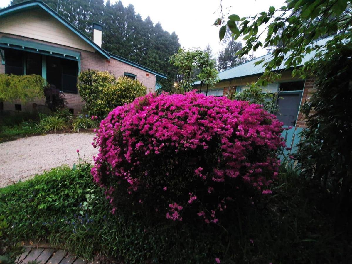 Carcoola Villa Blackheath Buitenkant foto