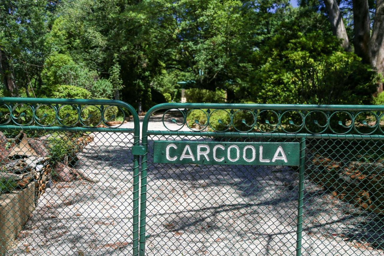 Carcoola Villa Blackheath Buitenkant foto